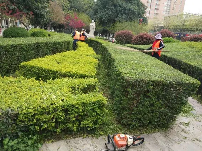 别墅底下室内园林景观设计