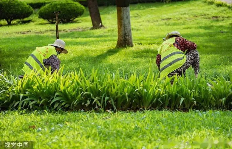 茶陵园林景观设计