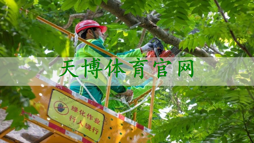 大理城市绿化带种植什么植物比较好